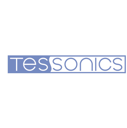 Tessonics Logo